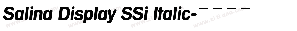 Salina Display SSi Italic字体转换